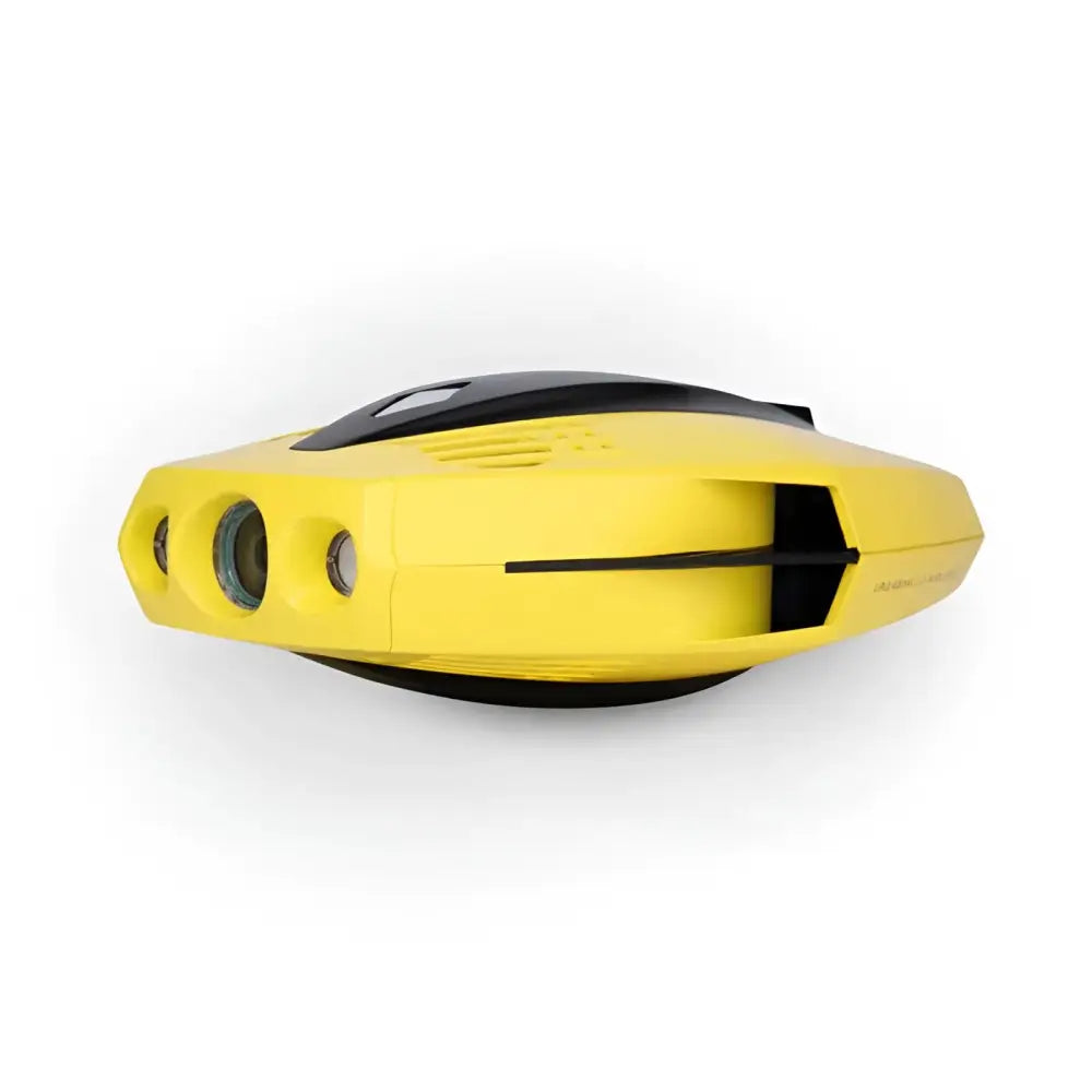 Chasing Dory Palm Underwater Drone.