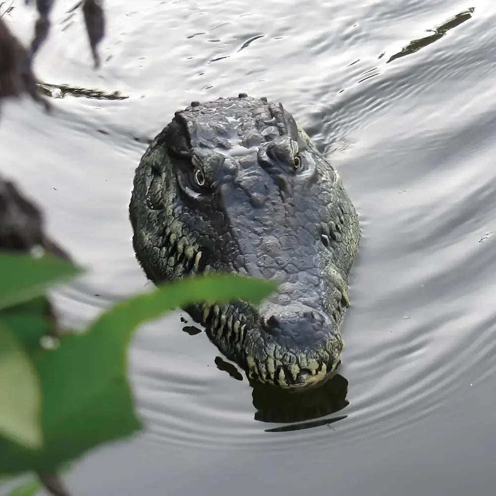Flytec V005 2.4G Electric RC Boat Simulation Crocodile Head.