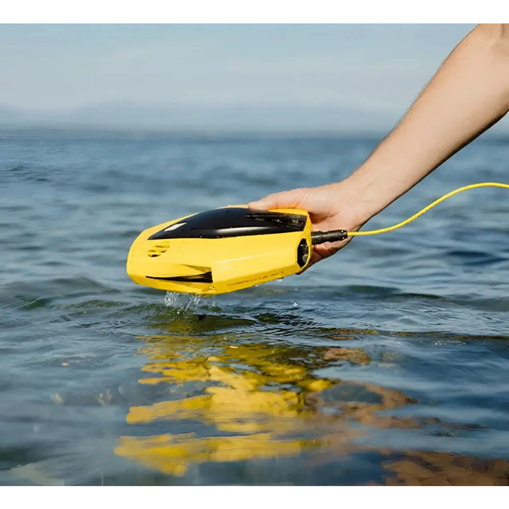Chasing Dory Palm Underwater Drone